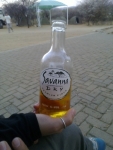 savanna